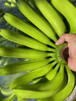 Bananas Cavendish do VIET NAM from Vietname
